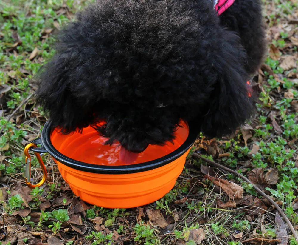 Tigela para ração pet retrátil e portátil - super prática