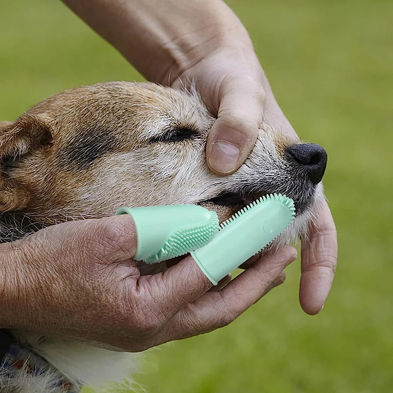 Escova de dedo para pets super macia - combate mau hálito