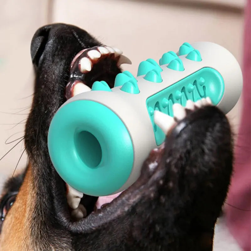 Brinquedo para cães para morder - limpa os dentes de verdade