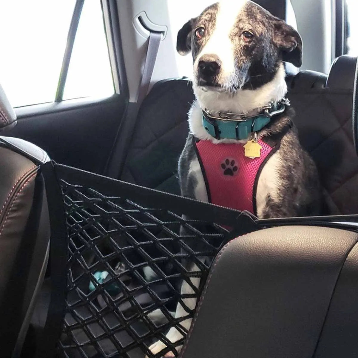 Rede reforçada de proteção para cães - para todos os carros