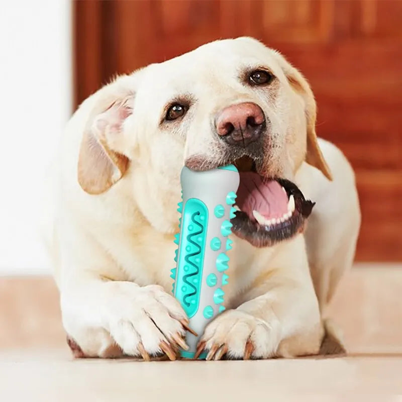 Brinquedo para cães para morder - limpa os dentes de verdade