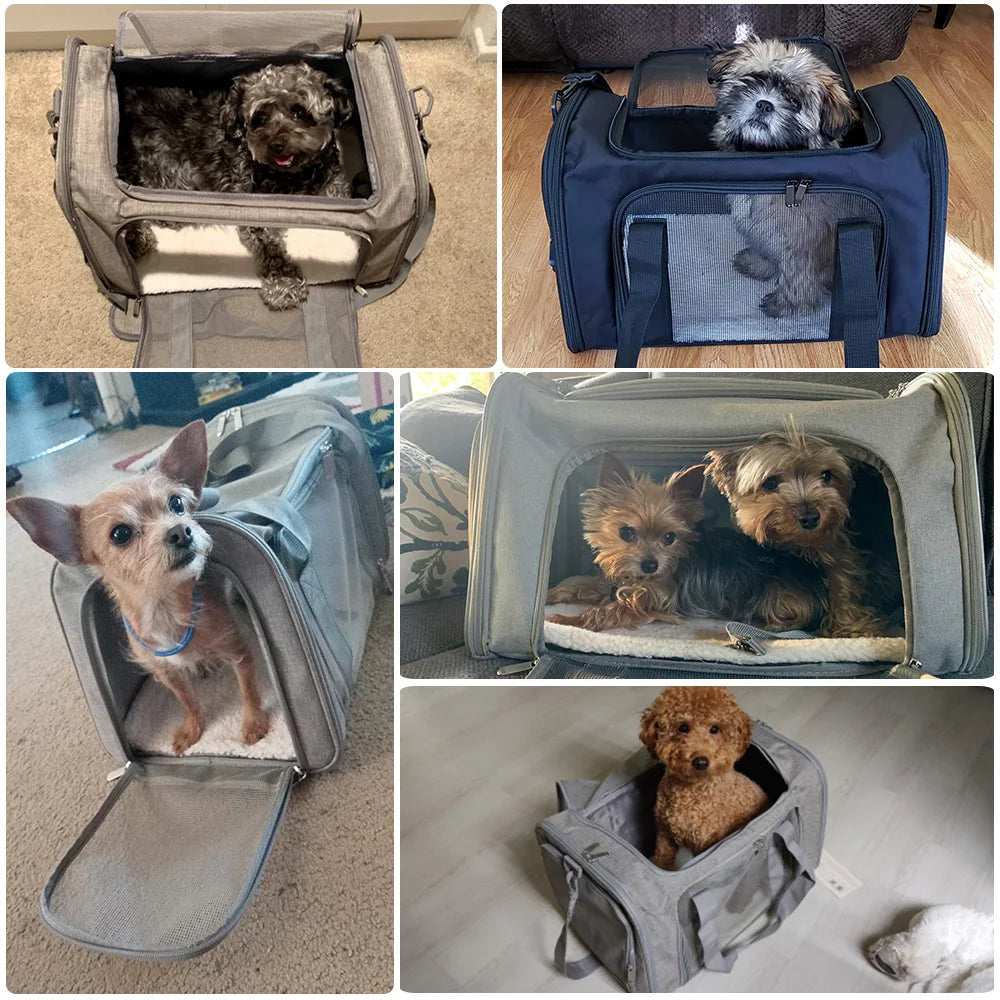 Bolsa de transporte de pets - para longas viagens