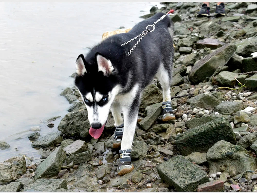 Sapatos refletivos para pets - impermeáveis e respiráveis