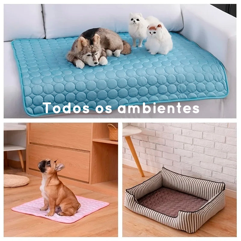 Tapete gelado para pets - essencial no verão