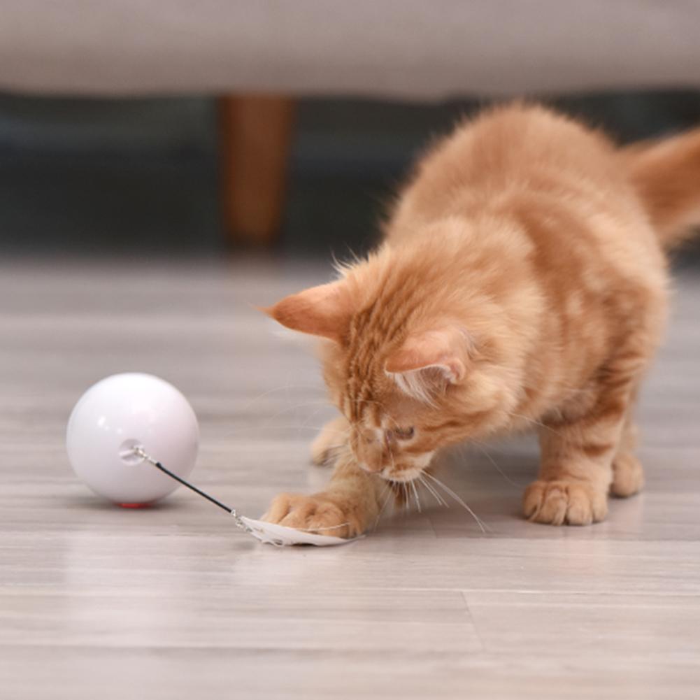 Brinquedo para Gato Bola de Brinquedo com Luz Led Rotação Automática de 360  Graus e Carregamento Usb Brinquedo Interativo para Gato para Animais De